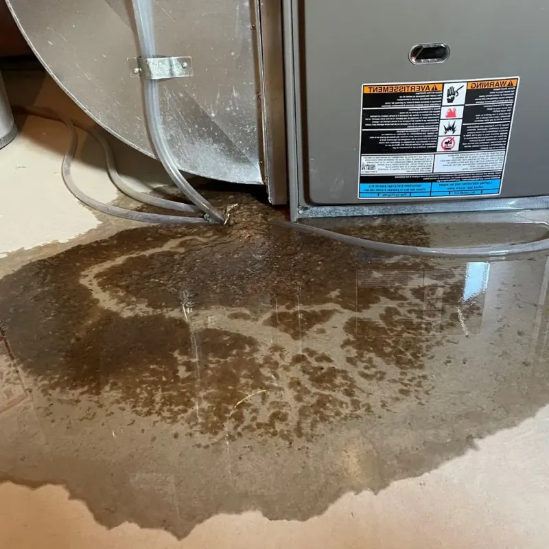 Pipe Burst and Leak Restoration in Harbor Springs, MI